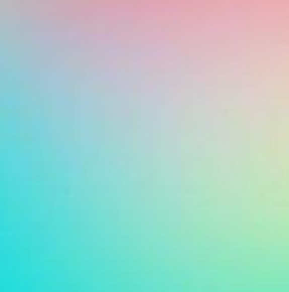 Meet your Posher, Maddy - Picture 1 of 1